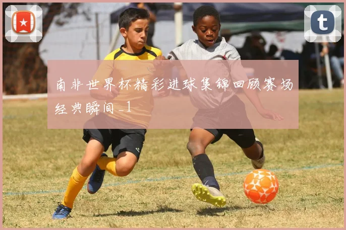 南非世界杯精彩进球集锦回顾赛场经典瞬间_1