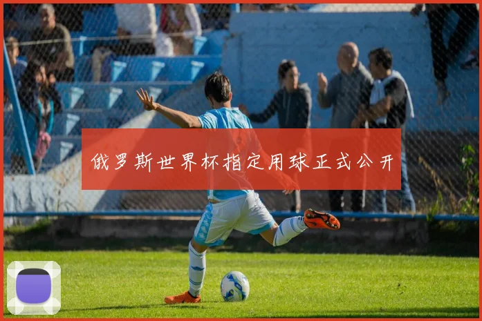 俄罗斯世界杯指定用球正式公开