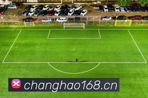 奖项图3